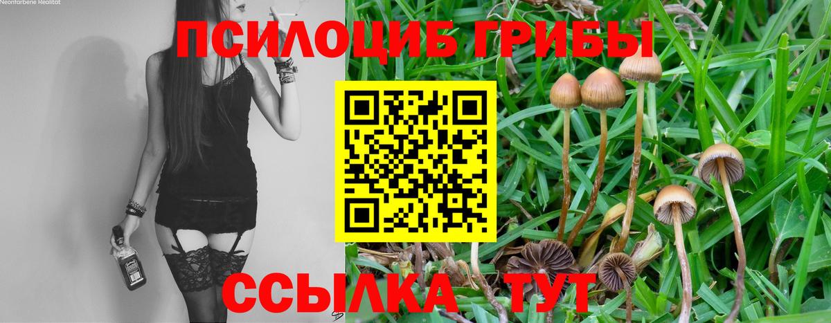 Хасавюрт  Галлюциногенные грибы GOLDEN TEACHER  Вход с VPN 
